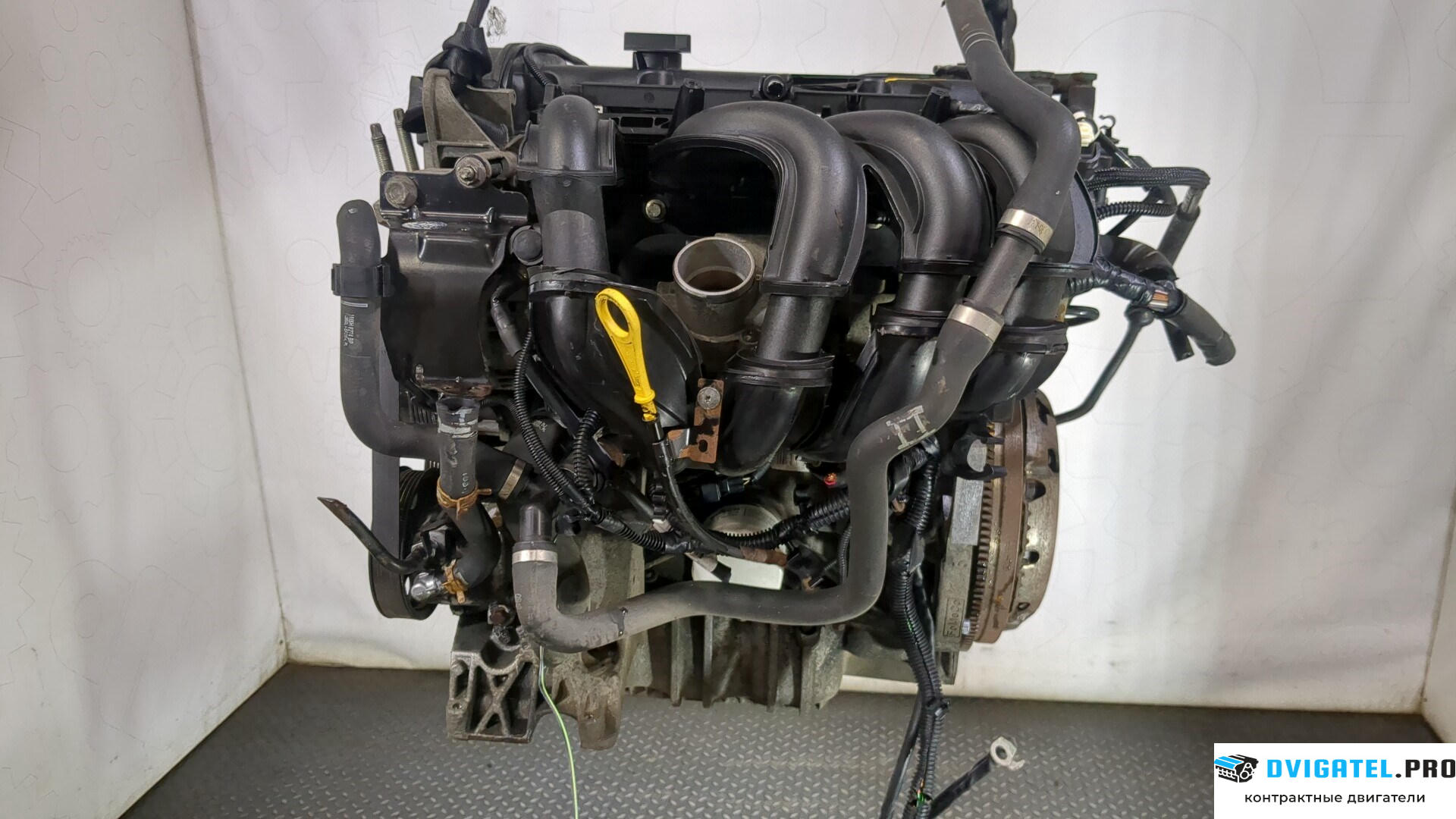 Двигатель Ford Focus 2 2008 - 2011 SHDA, SHDC 1.6 л., Бензин, Инжектор, артикул 9163931