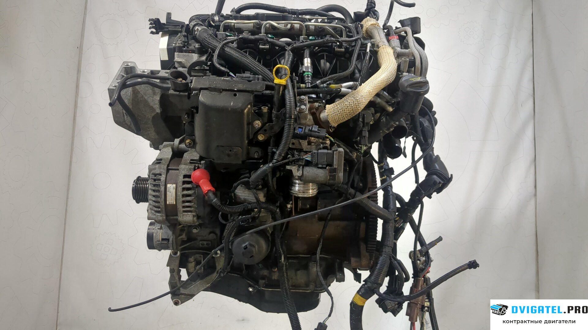 Двигатель Land Rover Range Rover Evoque 2011 - 2015 224DT 2.2 л., Дизель, Турбо, артикул 9252297