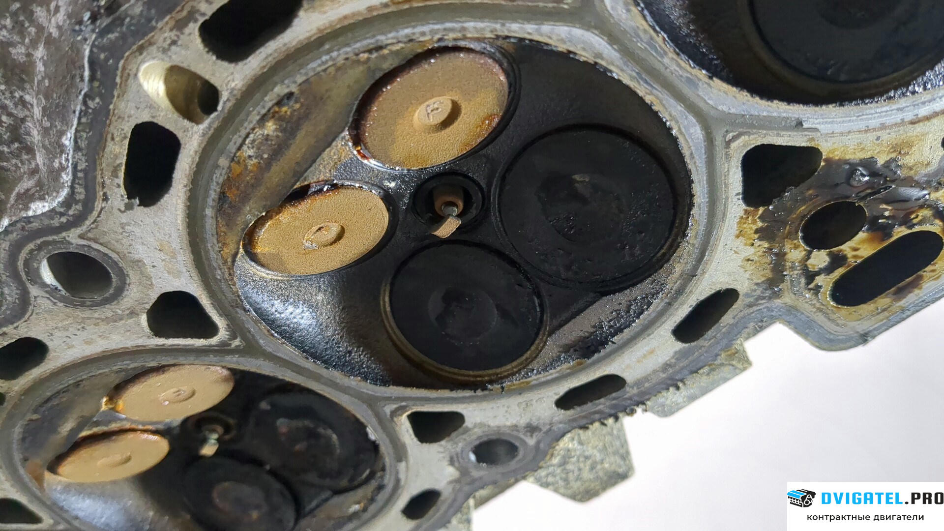 Головка блока цилиндров (ГБЦ) Ford C-Max 2002 - 2010 SHDA, SHDB, SHDC 1.6 л., Бензин, Инжектор, артикул 8896755