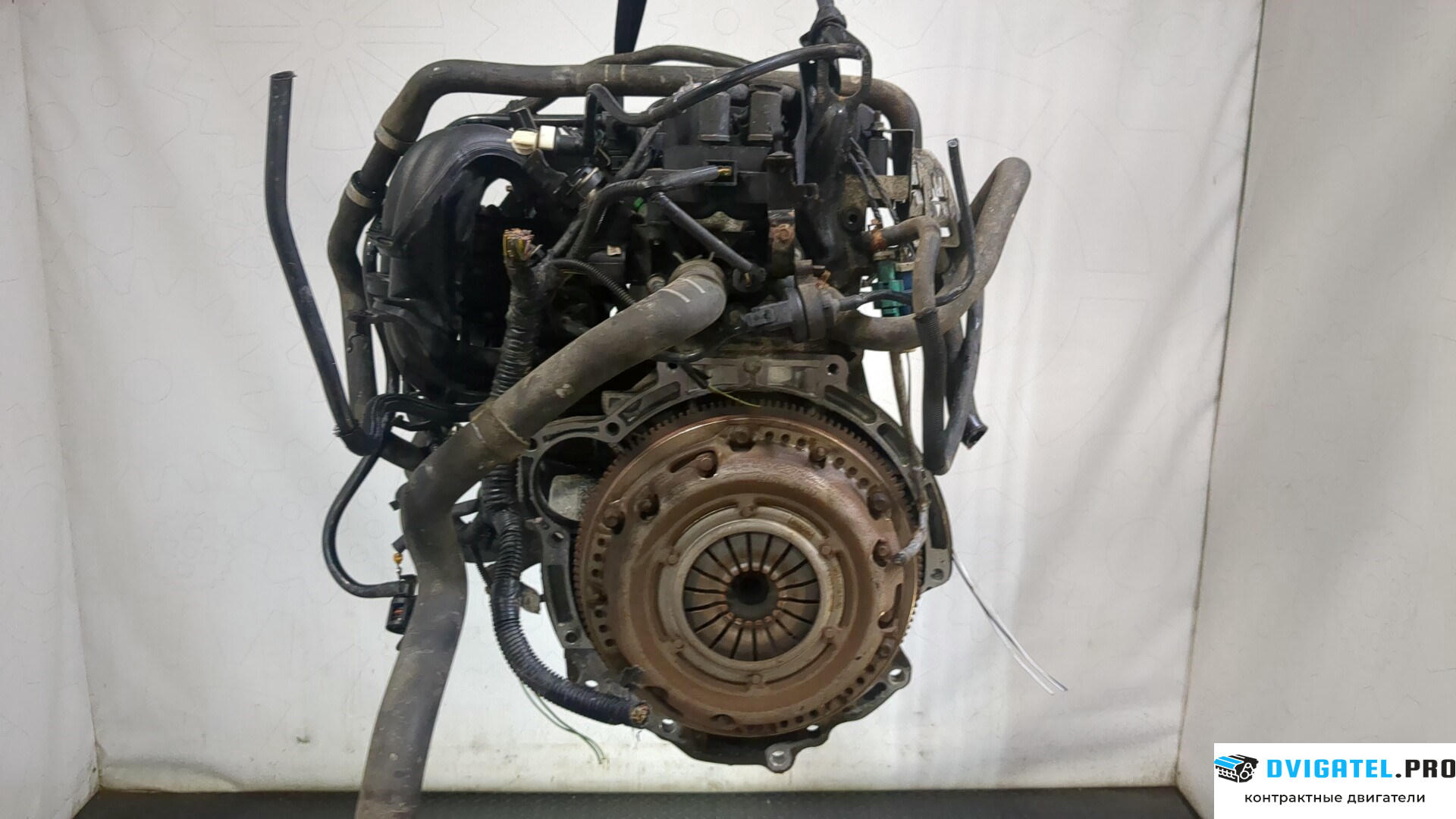 Двигатель Ford Focus 2 2008 - 2011 SHDA, SHDC 1.6 л., Бензин, Инжектор, артикул 9266126