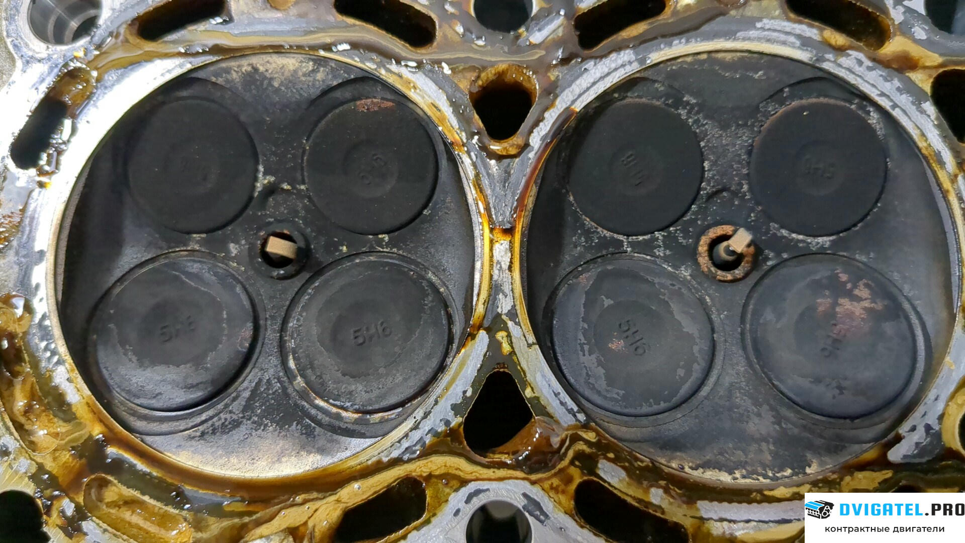 Головка блока цилиндров (ГБЦ) Renault Scenic 2009 - 2012 H4J 700 1.4 л., Бензин, Турбо-инжектор, артикул 9223528