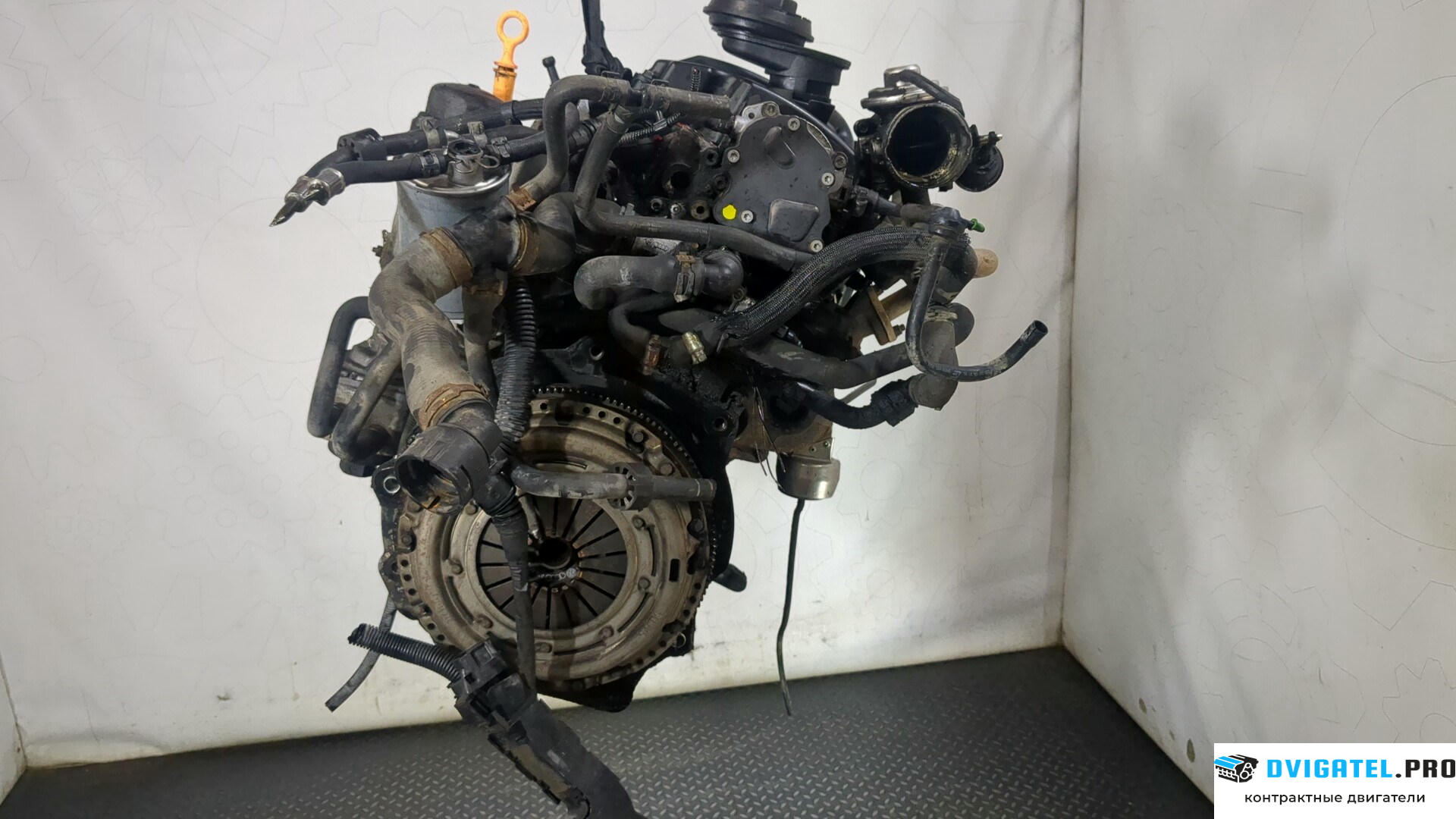 Двигатель Ford Galaxy 2000 - 2006 AUY 1.9 л., Дизель, TDI, артикул 9027561