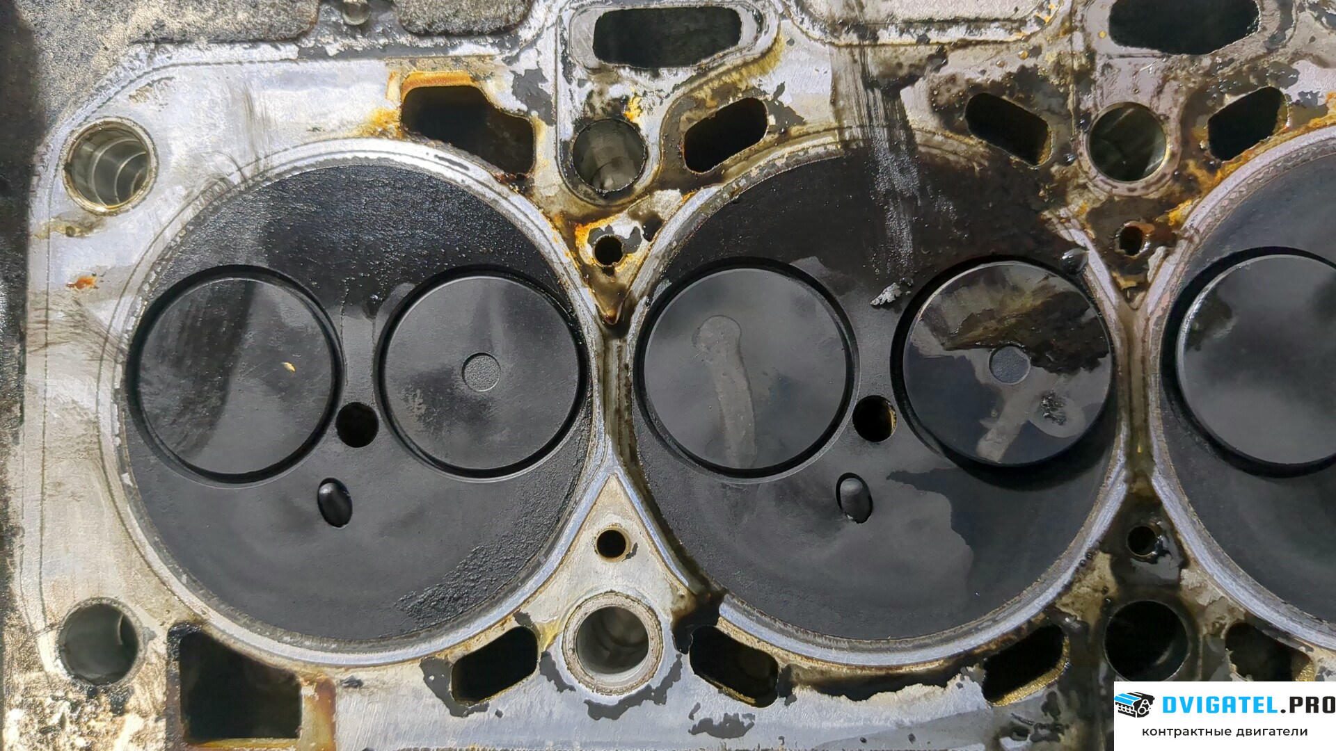 Головка блока цилиндров (ГБЦ) Fiat Doblo 2001 - 2005 223 A 7.000 1.9 л., Дизель, JTD, артикул 8902251