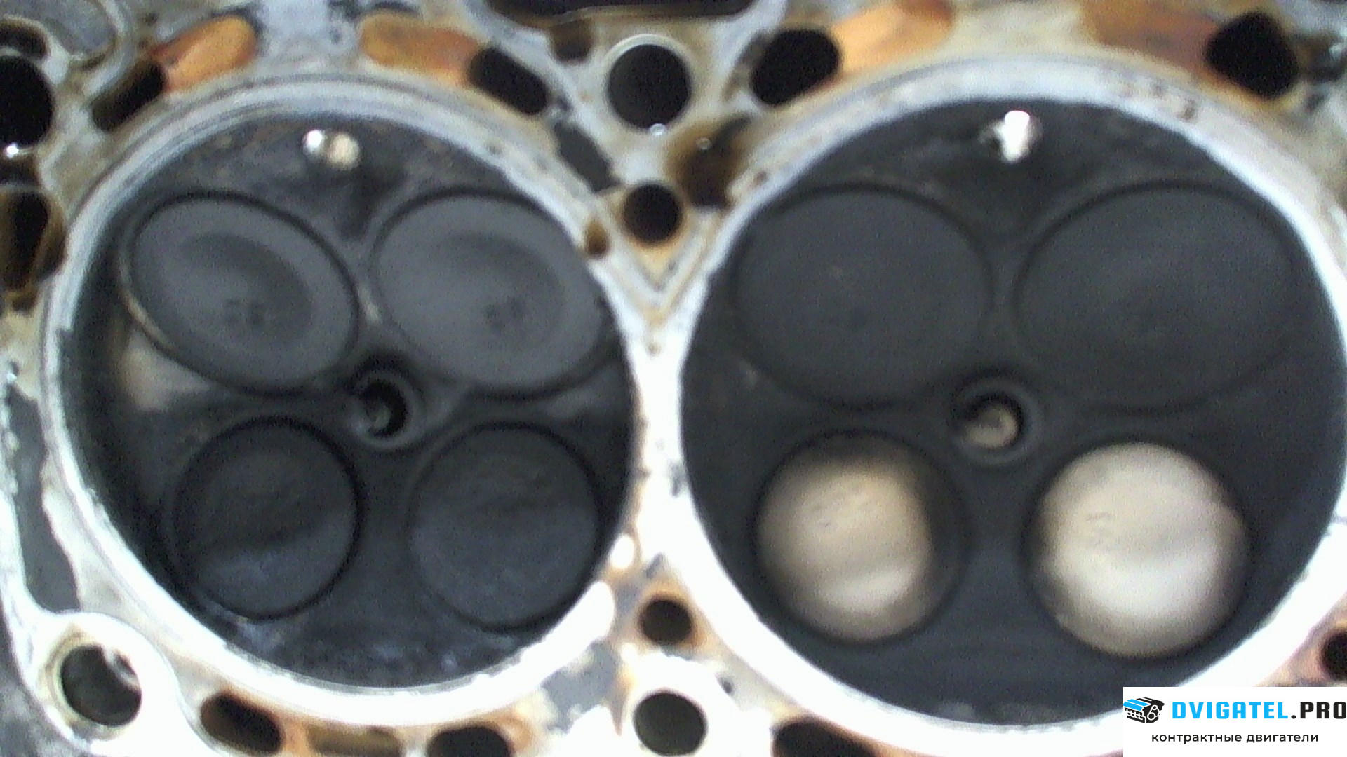 Головка блока цилиндров (ГБЦ) Volvo S40 / V40 1995 - 2004 B4184SJ 1.8 л., Бензин, Инжектор, артикул 7054433