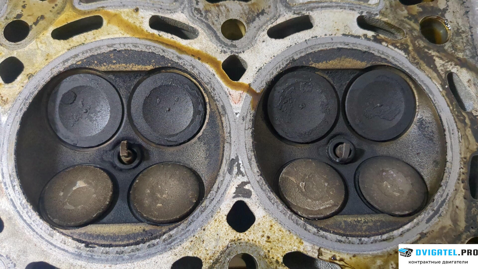 Головка блока цилиндров (ГБЦ) Ford C-Max 2002 - 2010 QQDA, QQDB, QQDC 1.8 л., Бензин, Инжектор, артикул 9153121